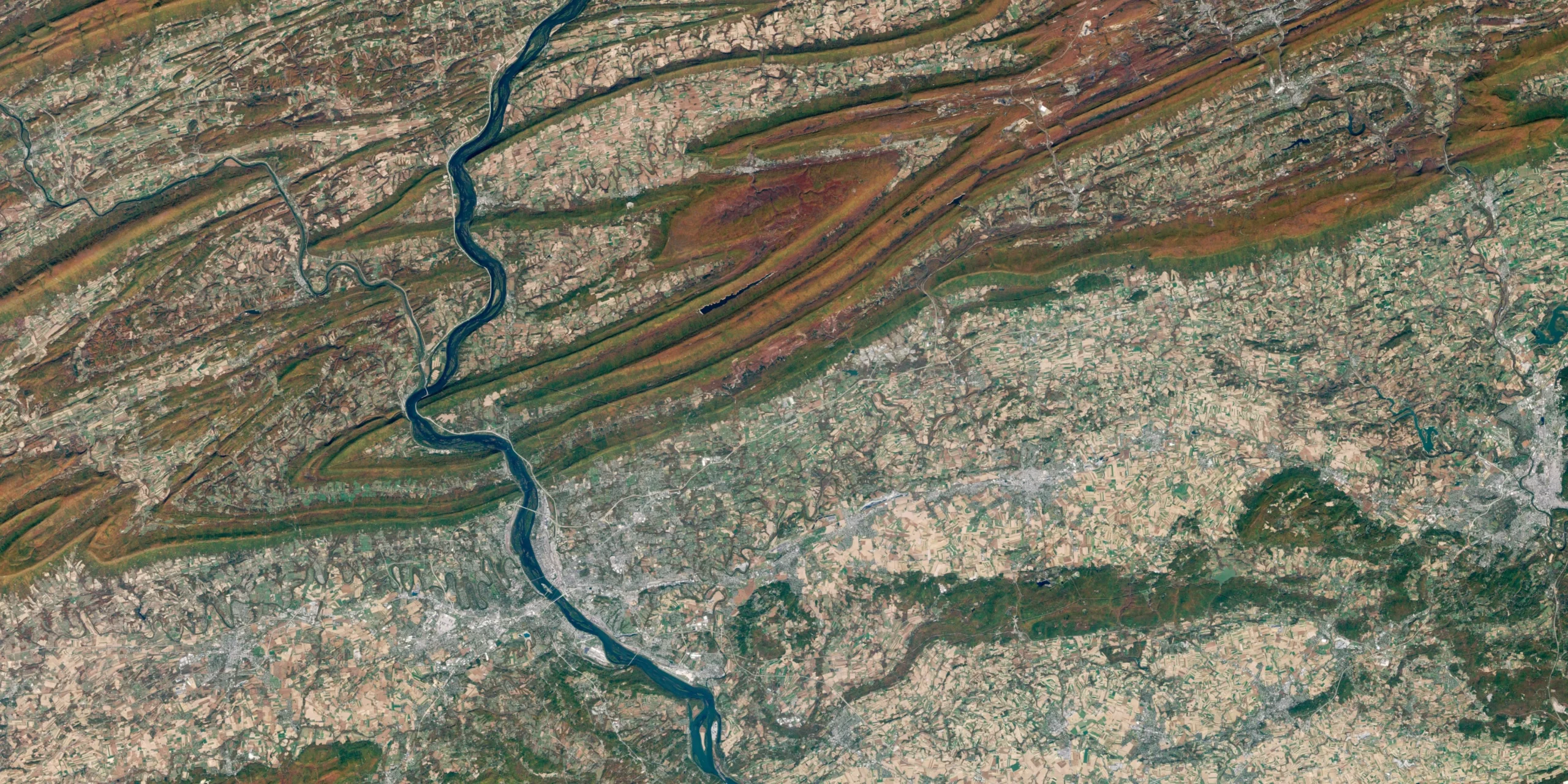 AI-Driven Sustainability: How Data Models Are Saving the Planet