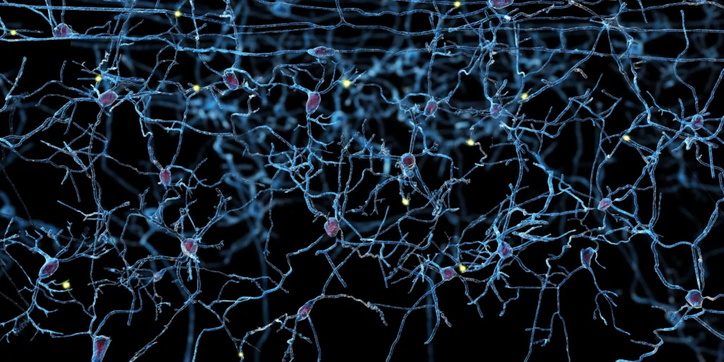 Brain-computer interface concept showing human brain connected to digital circuits.